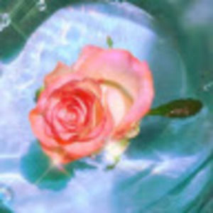 Meet your Posher, Madeleine